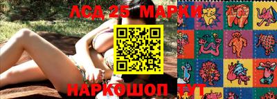 стаф Жуковский