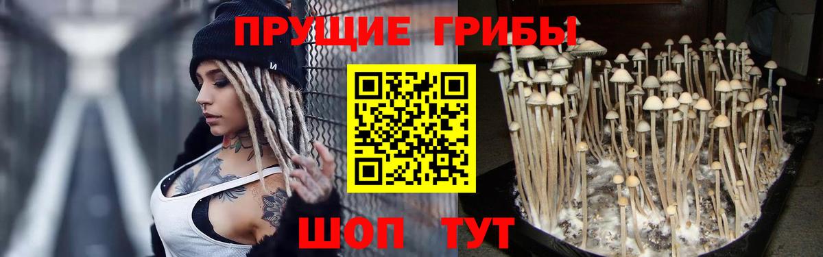 Псилоцибиновые грибы ЛСД  Вход с VPN  Сибай 