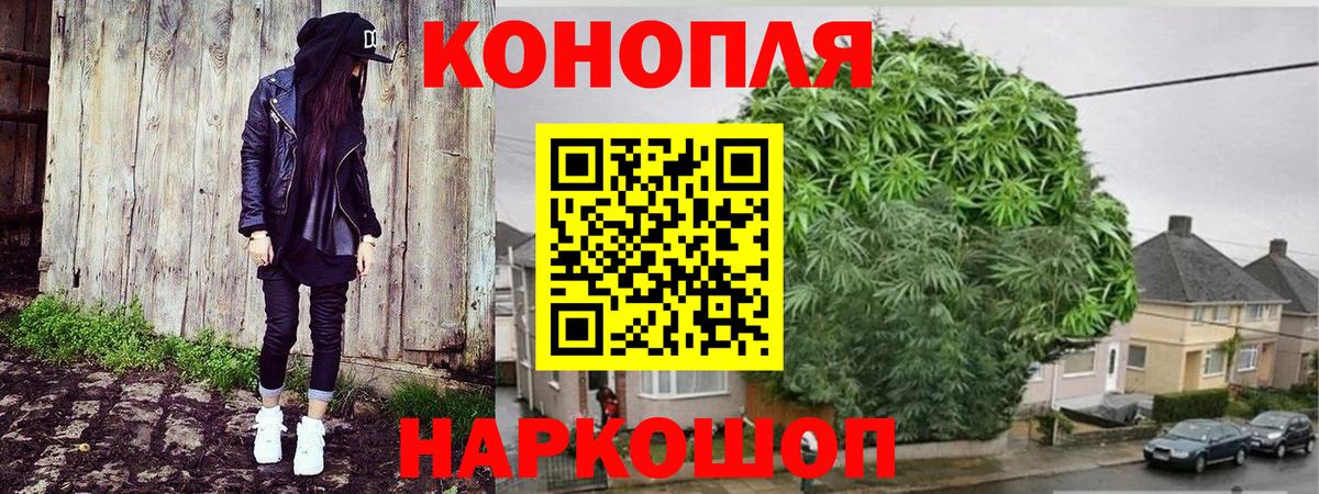 Бошки Шишки планчик  Канабис марихуана  Каннабис SATIVA & INDICA  Вход с VPN  Сибай 